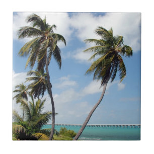 Bahia Honda Staat Park Fliese