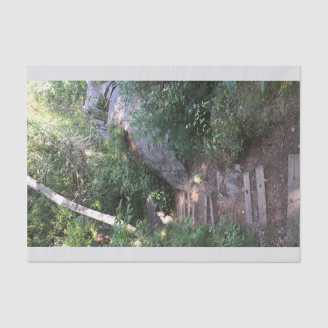 Bahn durch Bäume Seidenpapier (Vorderseite)