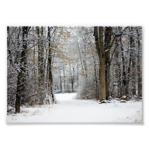 Bahn zwischen photographischem Druck 7x5