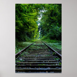 Bahngleise durch Grünwald Poster