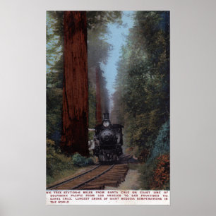 Bahnhof Big Tree Poster