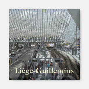 Bahnhof Liège-Guillemins Magnet
