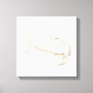 Bai Shao Canvas Print Leinwanddruck