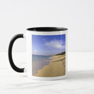 Baie Longue Long Bay Strand, St. Martin, Tasse