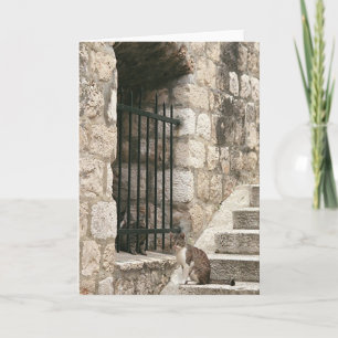 "bail me out" Card (blank inside) Karte