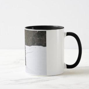 Bailey das Patterdale Terrier Tasse
