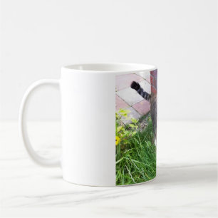 Bailey die Tasse
