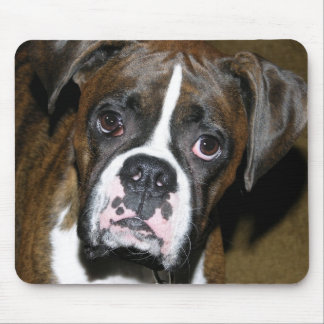 Bailey-nahes hohes mousepad
