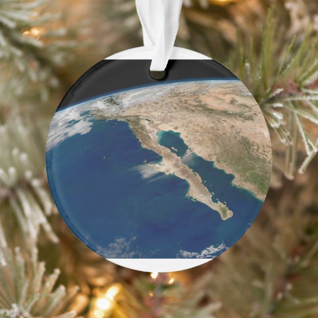 Baja California und die Pazifikküste von Mexiko. Ornament (Baum)