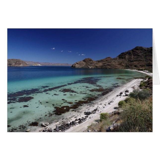 Baja Conception Bay (Vorderseite (Horizontal))