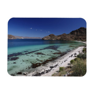 Baja Conception Bay Magnet