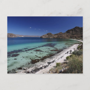 Baja Conception Bay Postkarte