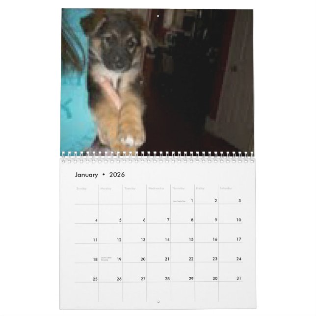 Baja/Herkules Kalender (Jan 2026)