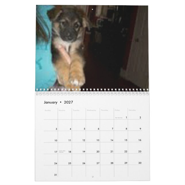 Baja/Herkules Kalender (Jan 2027)