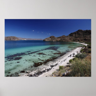 Baja Konzeptions-Bucht Poster