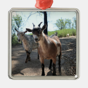 Baka & LuLit, Happy Goats Ornament