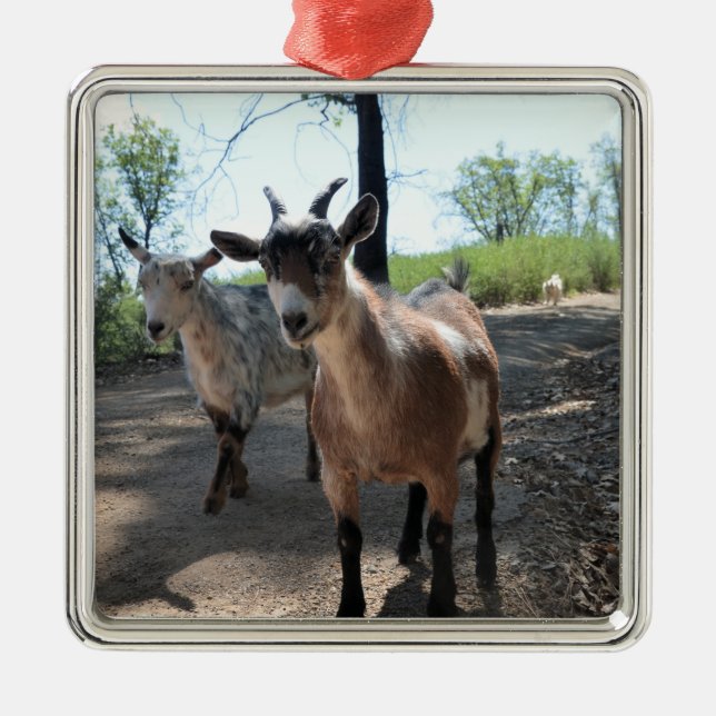 Baka & LuLit, Happy Goats Ornament (Vorne)