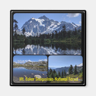 Baker Snoqualmie Nationa Forest Collage Magnet