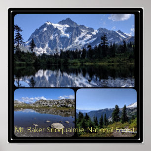 Baker-Snoqualmie National Forest Collage Poste Poster