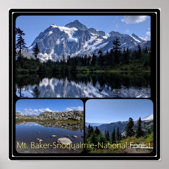 Baker-Snoqualmie National Forest Collage Poste Poster (Vorne)