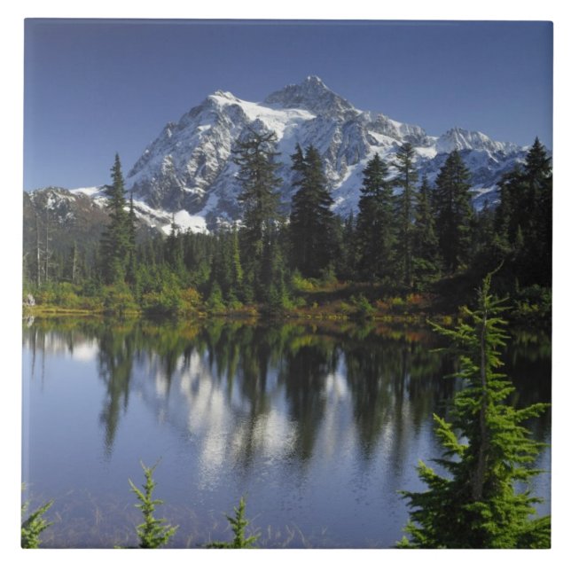Baker-Snoqualmie-Nationalwald Fliese (Vorderseite)