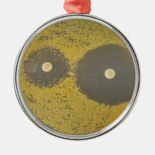 Bakterielle antibiotische Anfälligkeit Silbernes Ornament