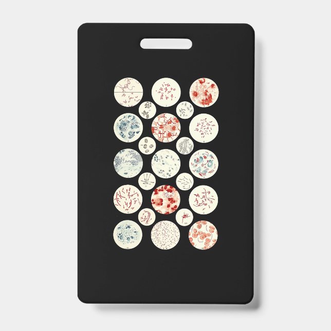 Bakterien aus der Mikrobiologie winzig Ausweis (Vorderseite)