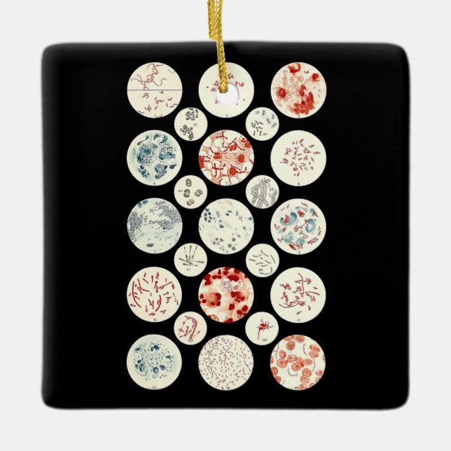Bakterien aus der Mikrobiologie winzig Keramikornament (Vorderseite)