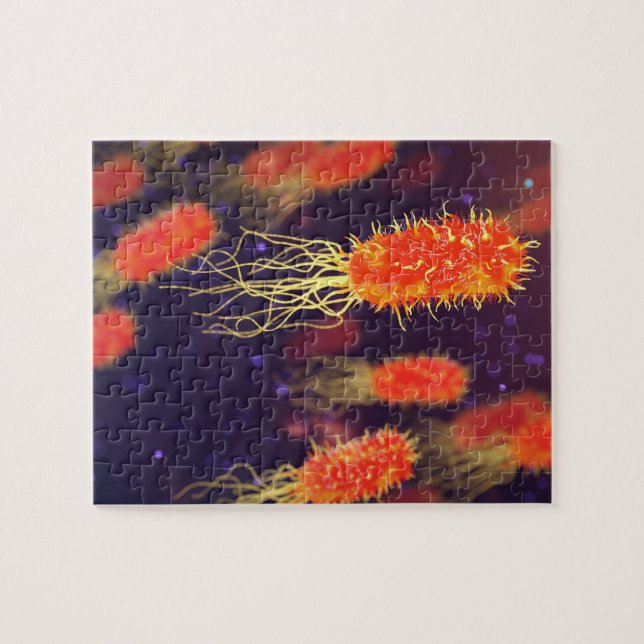 Bakterien-Flagella Puzzle (Horizontal)