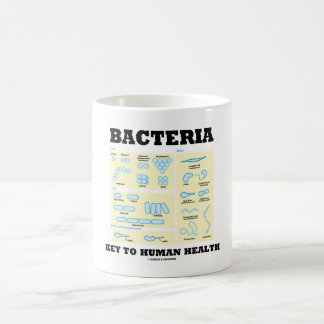 Bakterien sind der Schlüssel zur Morphologie der m Kaffeetasse