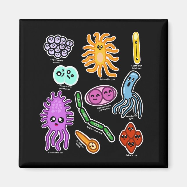 Bakterienarten Magnet (Vorne)