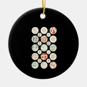 Bakterienmikrobiologie winzig keramik ornament