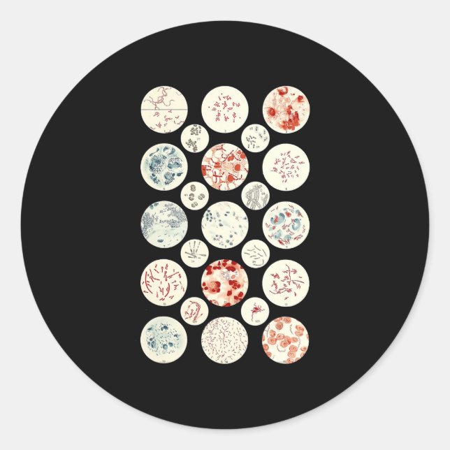 Bakterienmikrobiologie winzig runder aufkleber (Vorderseite)