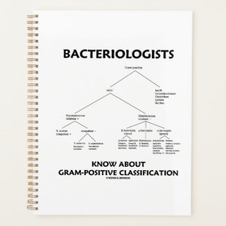 Bakteriologen kennen Gram-Positive Klassifikation Planer