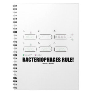 Bakteriophage Regel! (Bakterien-Virus-DNA) Notizblock