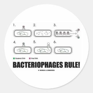 Bakteriophage Regel! (Bakterien-Virus-DNA) Runder Aufkleber