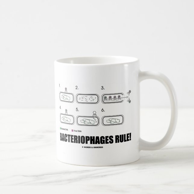 Bakteriophage-Regel! (Bakterien-Virus DNS) Kaffeetasse (Rechts)