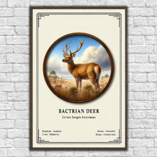 Baktriahirsch-Zoologie-Serie Poster