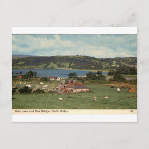Bala Lake Dee Bridge Nordwales Vintage-Ansicht Postkarte