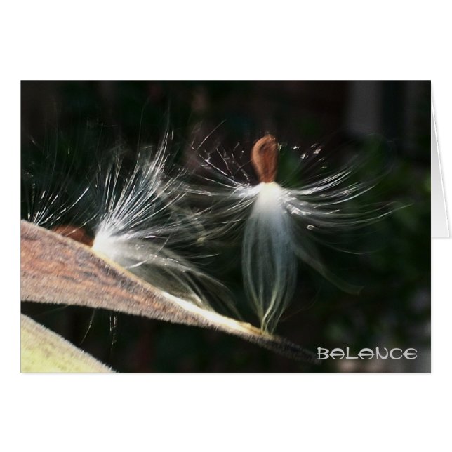 Balance (Vorderseite (Horizontal))