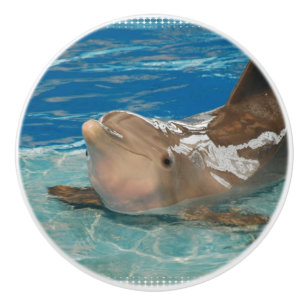 Balancierender Delphin Keramikknauf