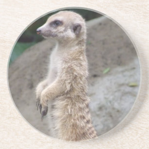 Balancierter Meerkat Untersetzer