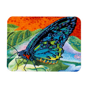 Balancierter Schmetterling II Magnet