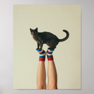 Balancing Cat on Stricksocken, Black Cat Poster