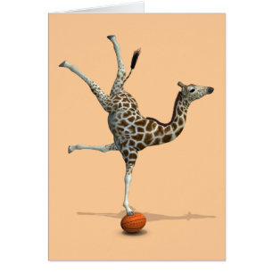 Balancing Giraffe