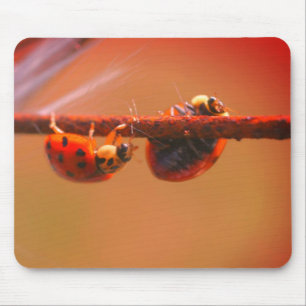 Balancing Ladybugs Nature Mousepad
