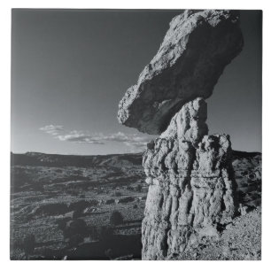 Balancing Rock, New Mexico Fliese