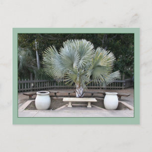 Balboa Park Szene erinnert an Maxfield Parrish Postkarte