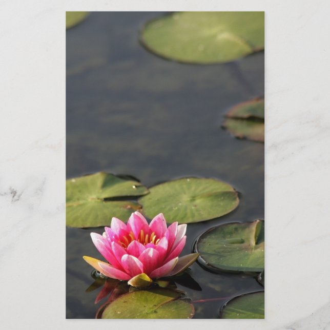 Balboapark Lilie stationär Briefpapier (Vorderseite)