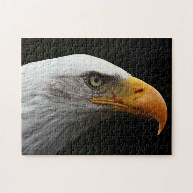 Bald Adler 11x14 252pc jpa Puzzle (Horizontal)